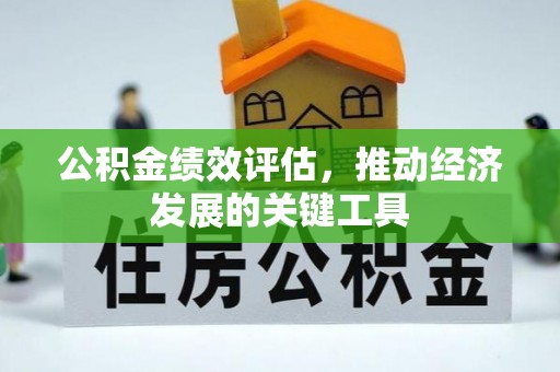 武宁公积金绩效评估，推动经济发展的关键工具
