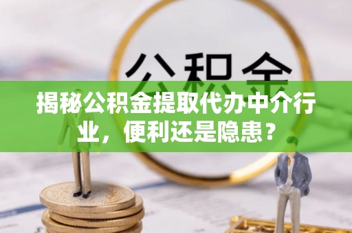 武宁揭秘公积金提取代办中介行业，便利还是隐患？