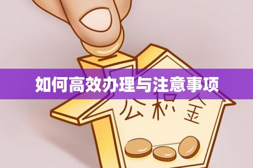 武宁如何高效办理与注意事项