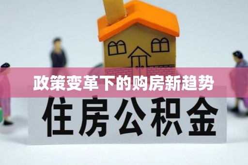 武宁政策变革下的购房新趋势
