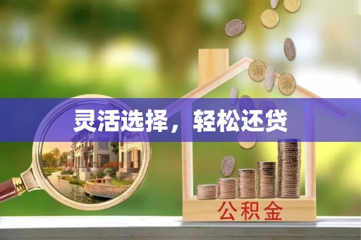 武宁灵活选择，轻松还贷