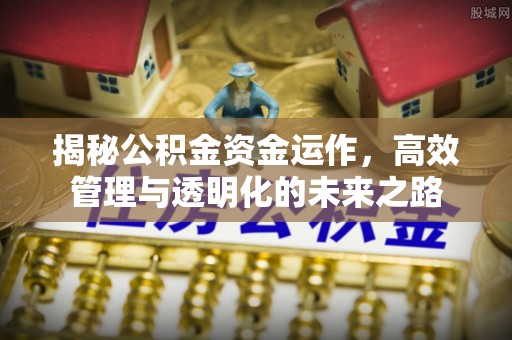 武宁揭秘公积金资金运作，高效管理与透明化的未来之路