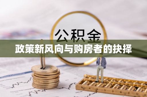 武宁政策新风向与购房者的抉择
