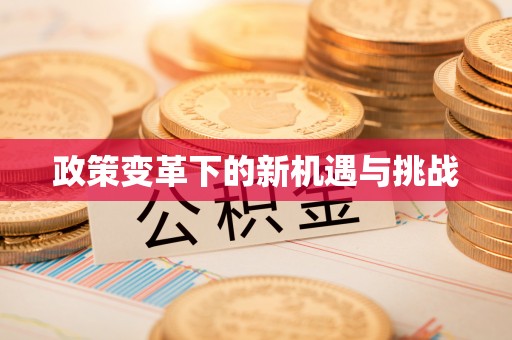 武宁政策变革下的新机遇与挑战