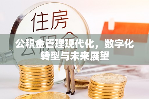 武宁公积金管理现代化，数字化转型与未来展望
