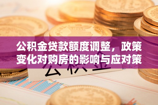 武宁公积金贷款额度调整，政策变化对购房的影响与应对策略
