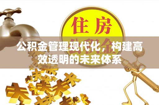 武宁公积金管理现代化，构建高效透明的未来体系