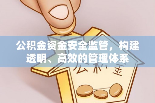 武宁公积金资金安全监管，构建透明、高效的管理体系