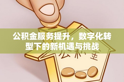 武宁公积金服务提升，数字化转型下的新机遇与挑战