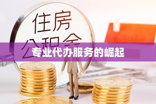 武宁专业代办服务的崛起
