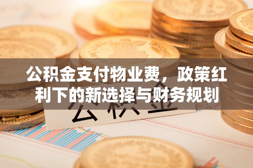 武宁公积金支付物业费，政策红利下的新选择与财务规划