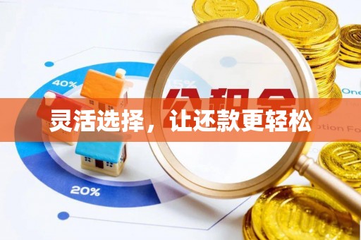 武宁灵活选择，让还款更轻松