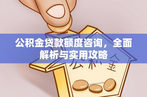 武宁公积金贷款额度咨询，全面解析与实用攻略
