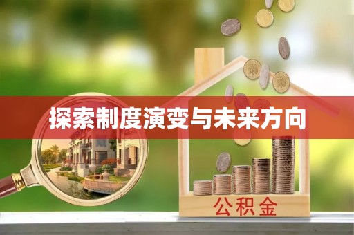 武宁探索制度演变与未来方向