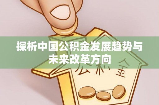 武宁探析中国公积金发展趋势与未来改革方向