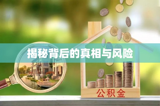 武宁揭秘背后的真相与风险