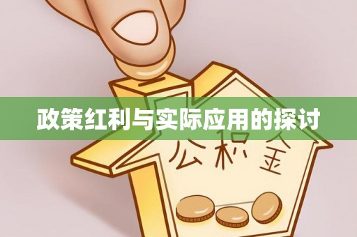 武宁政策红利与实际应用的探讨