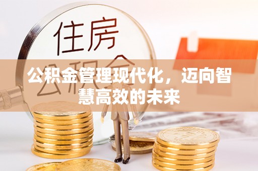 武宁公积金管理现代化，迈向智慧高效的未来