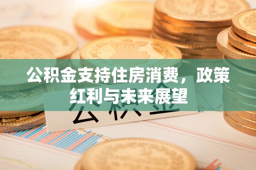 武宁公积金支持住房消费，政策红利与未来展望