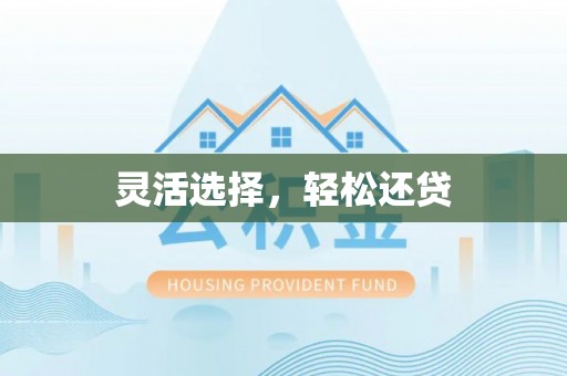 武宁灵活选择，轻松还贷