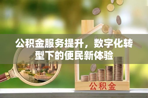 武宁公积金服务提升，数字化转型下的便民新体验