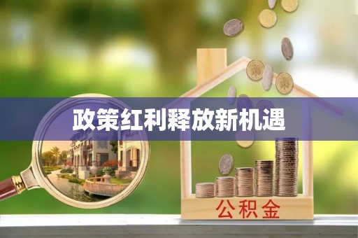 武宁政策红利释放新机遇