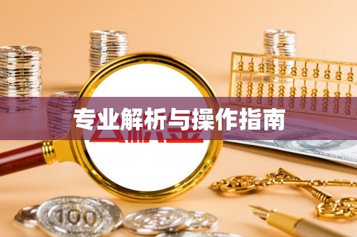 武宁专业解析与操作指南