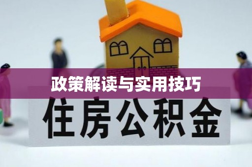武宁政策解读与实用技巧