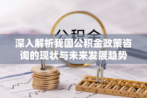武宁深入解析我国公积金政策咨询的现状与未来发展趋势