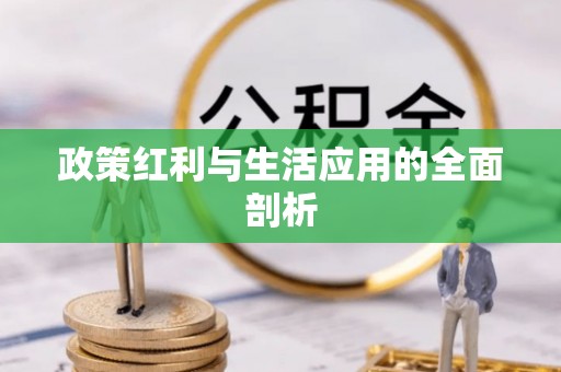 武宁政策红利与生活应用的全面剖析