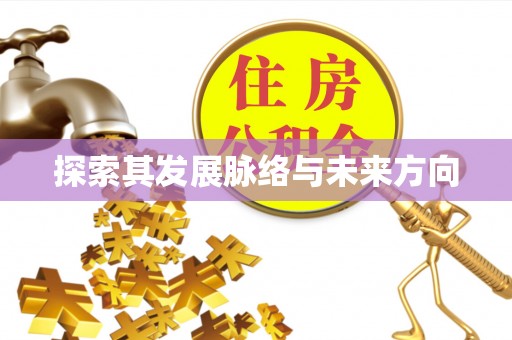 武宁探索其发展脉络与未来方向