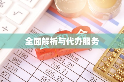 武宁全面解析与代办服务