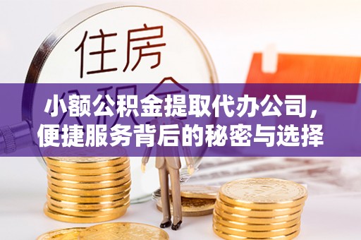 武宁小额公积金提取代办公司，便捷服务背后的秘密与选择指南