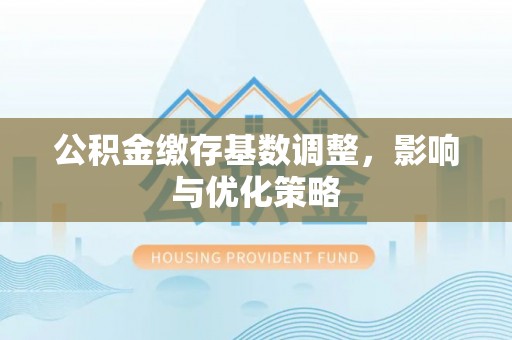 武宁公积金缴存基数调整，影响与优化策略