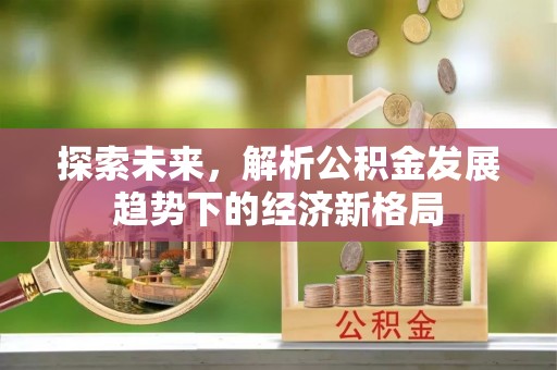 武宁探索未来，解析公积金发展趋势下的经济新格局