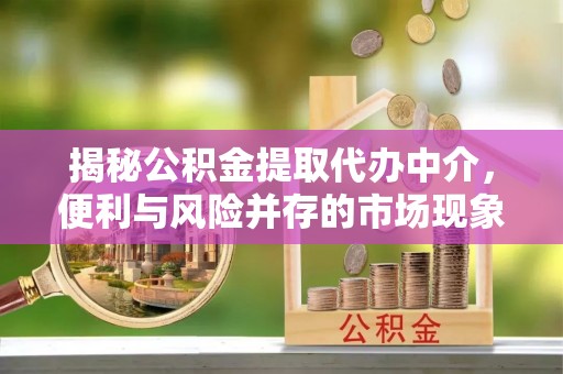 武宁揭秘公积金提取代办中介，便利与风险并存的市场现象