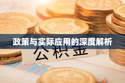 武宁政策与实际应用的深度解析