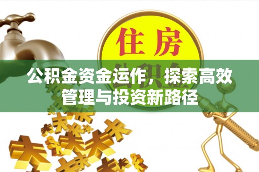 武宁公积金资金运作，探索高效管理与投资新路径