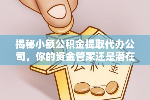 武宁揭秘小额公积金提取代办公司，你的资金管家还是潜在风险？