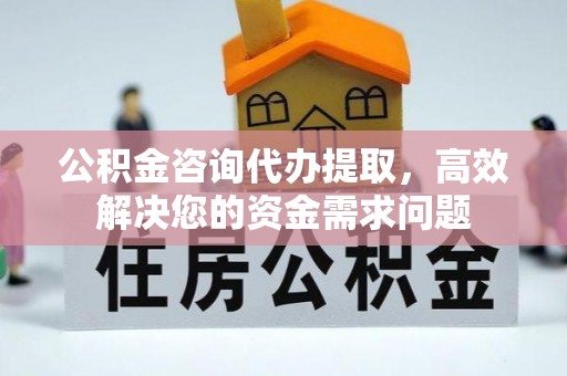 武宁公积金咨询代办提取，高效解决您的资金需求问题