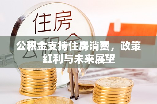 武宁公积金支持住房消费，政策红利与未来展望