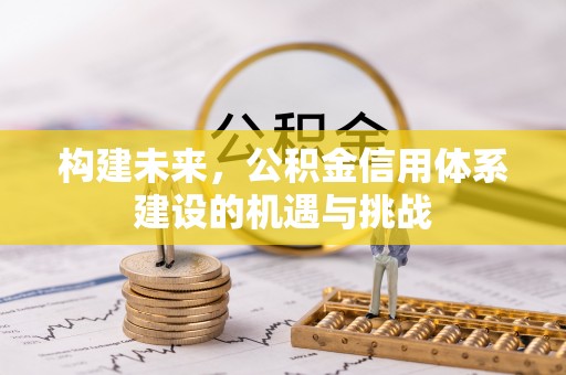 武宁构建未来，公积金信用体系建设的机遇与挑战