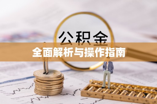 武宁全面解析与操作指南