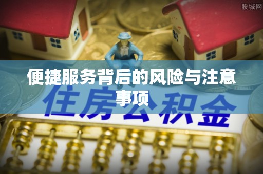 武宁便捷服务背后的风险与注意事项