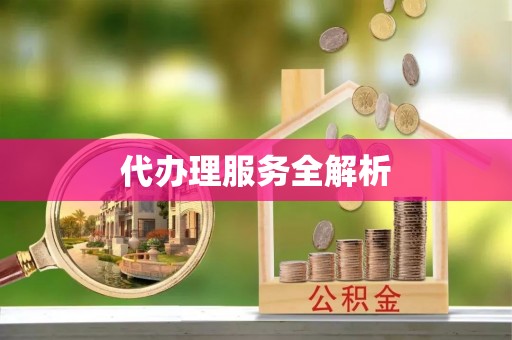 武宁代办理服务全解析
