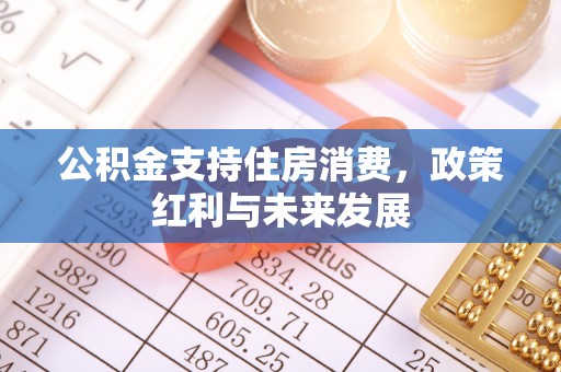 武宁公积金支持住房消费，政策红利与未来发展