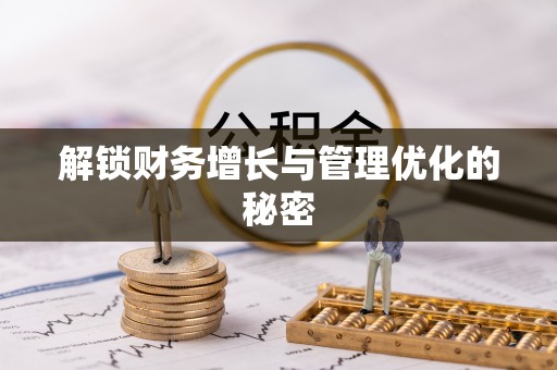 武宁解锁财务增长与管理优化的秘密