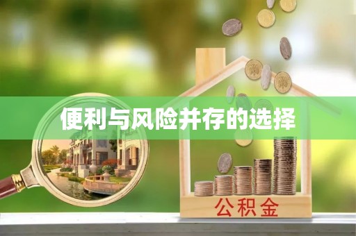 武宁便利与风险并存的选择