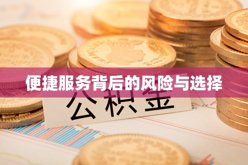 武宁便捷服务背后的风险与选择